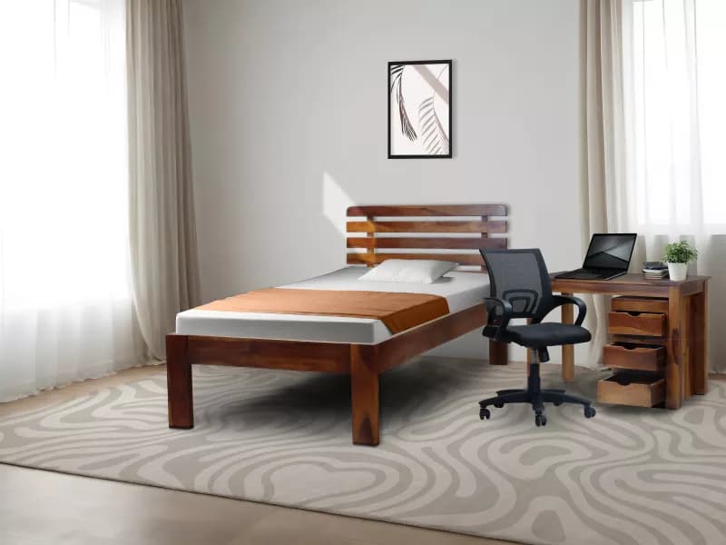 Alexa Studio Essentials Package