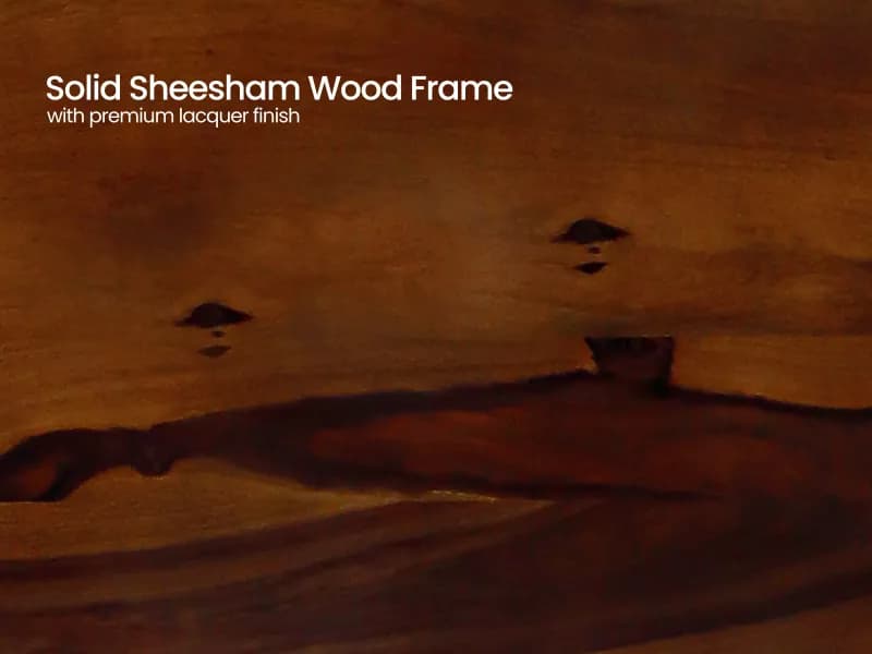 Belle Studio Comfort Package