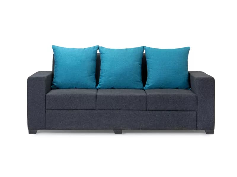 Hugo Upholstered 3 Seater Sofa in Livid Color