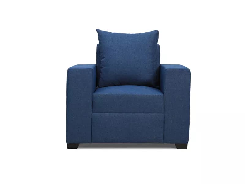 Hugo Upholstered Single Seater Sofa in Blue Color