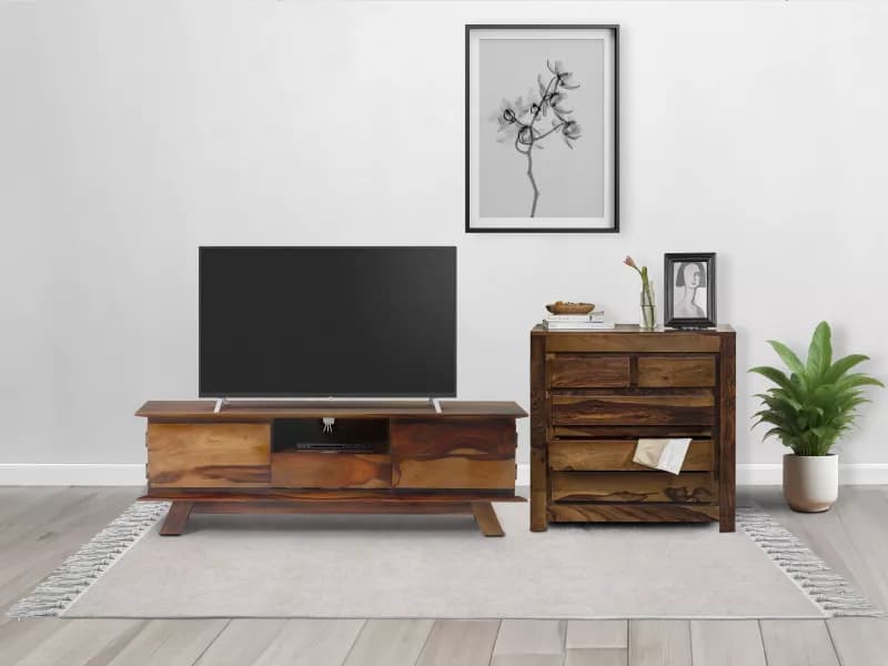 Living Room Storage Essentials