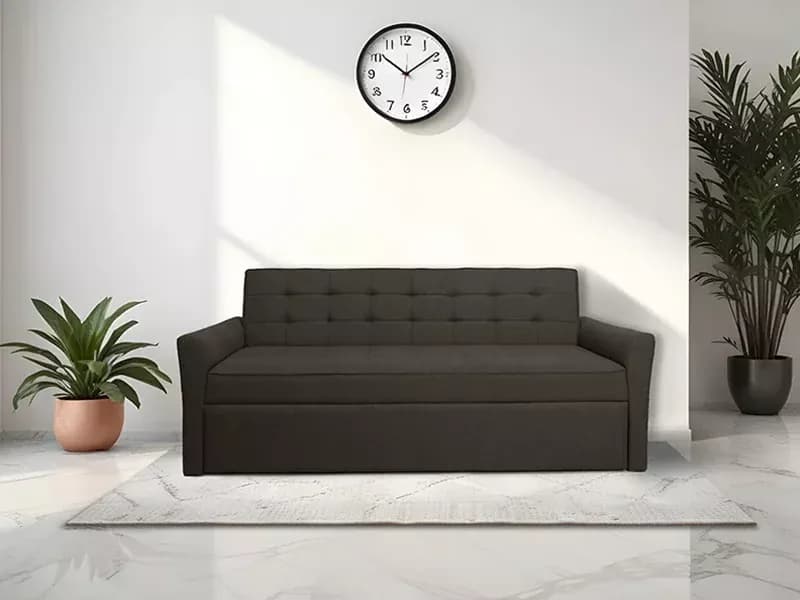 Zenith Sofa Cum Bed in Dark Gray